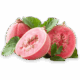 guava